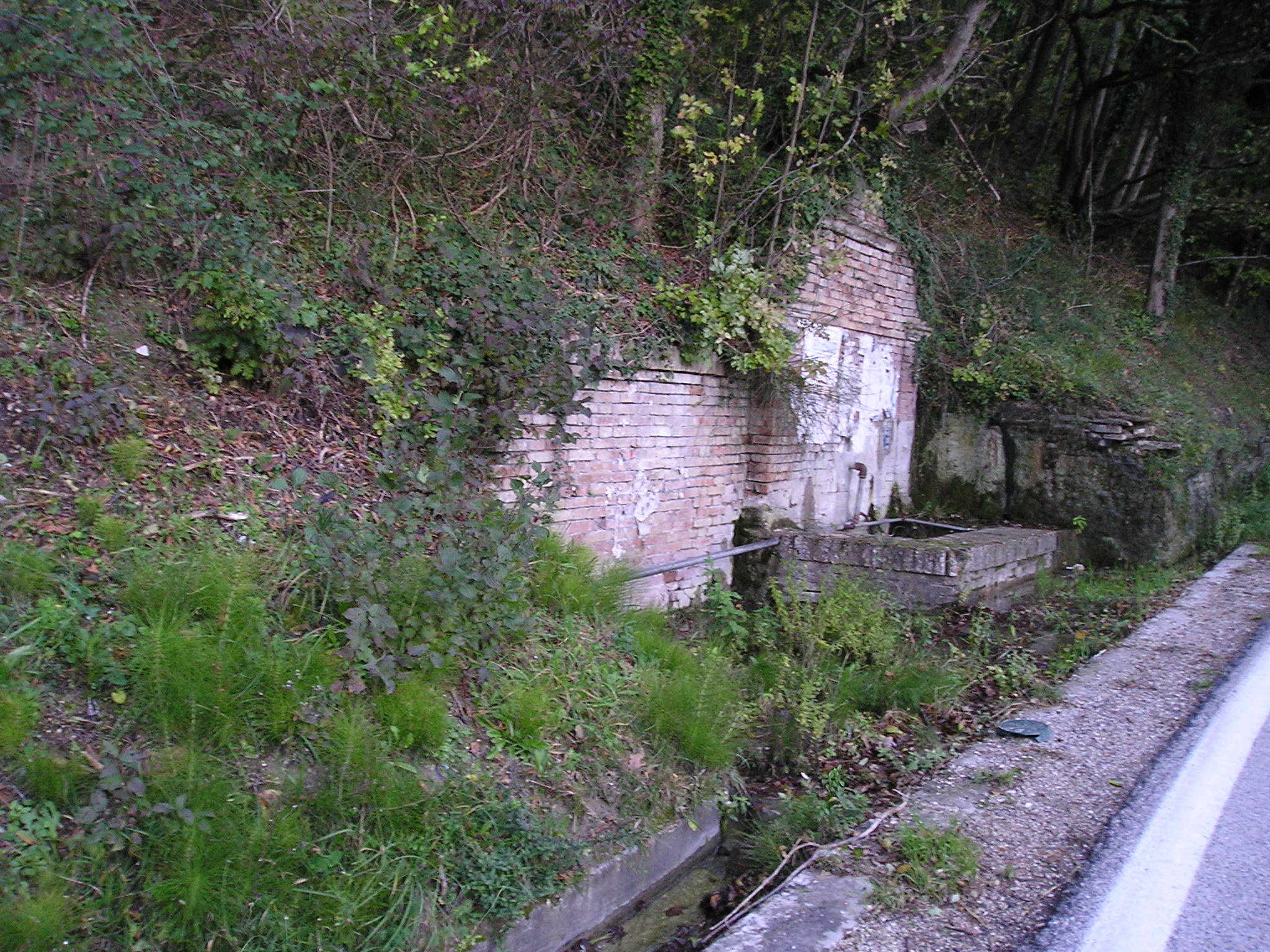 Fonte pubblica