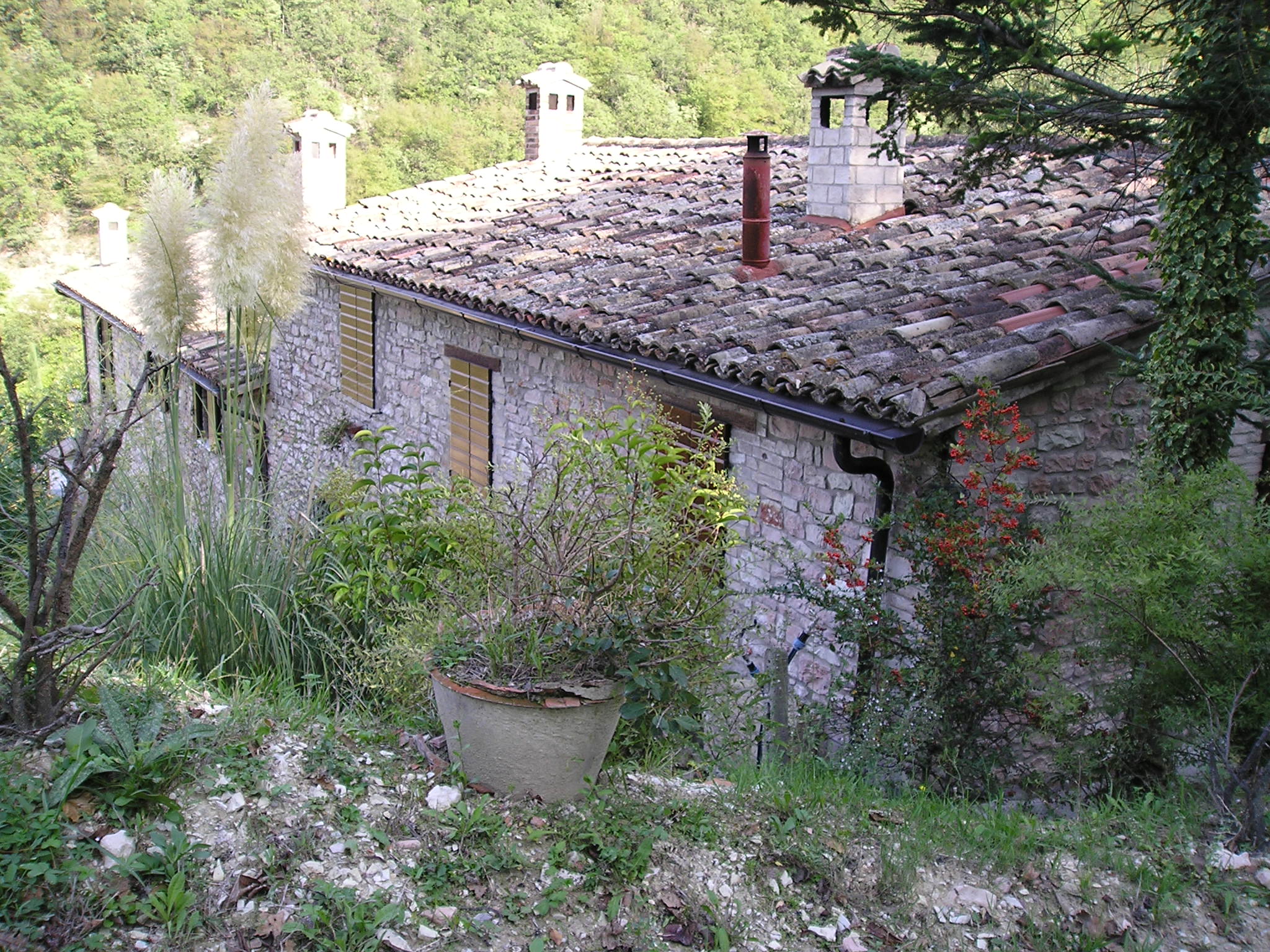 Molino Cà fosso Ligi