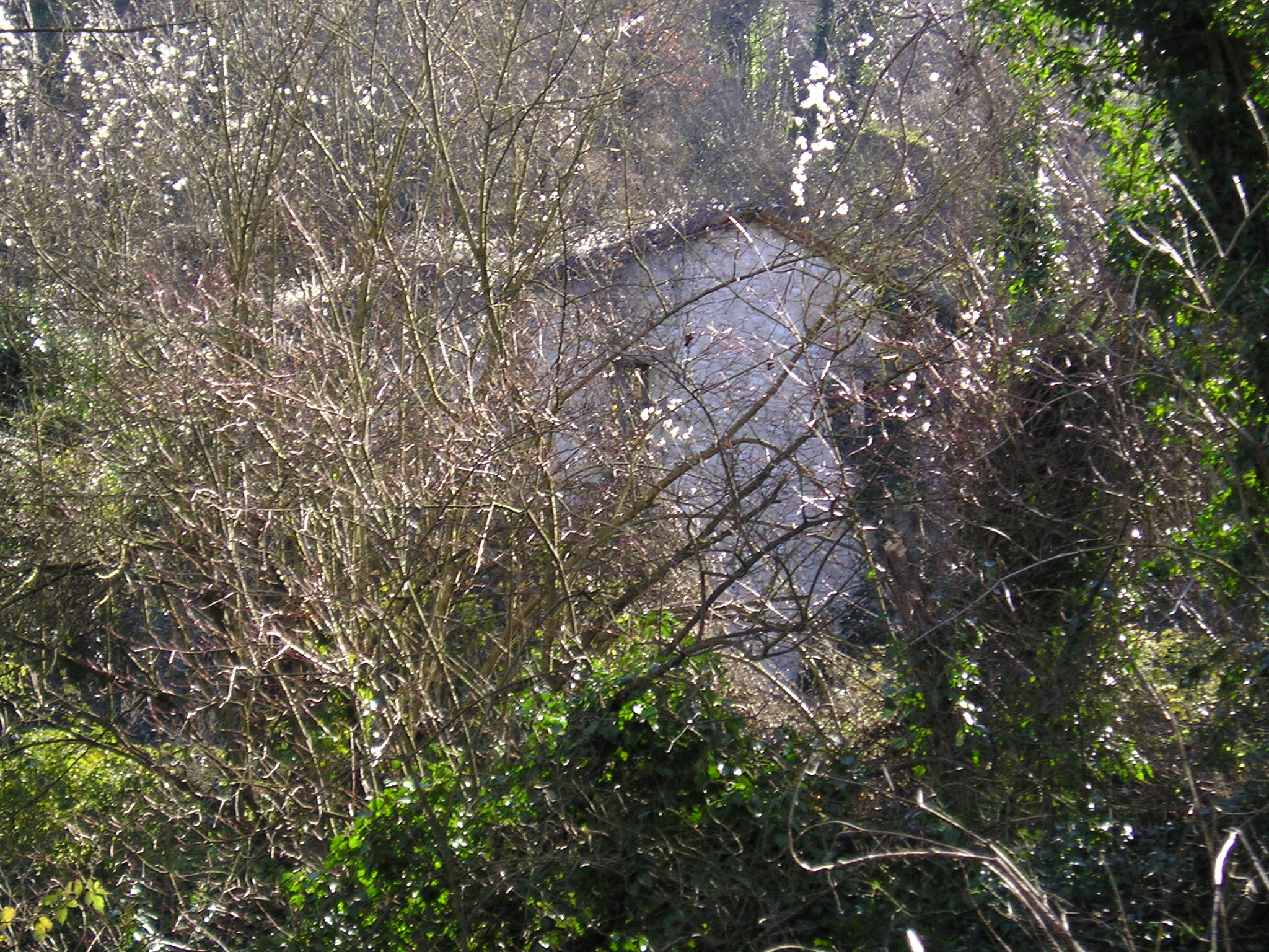 Molino del Duca