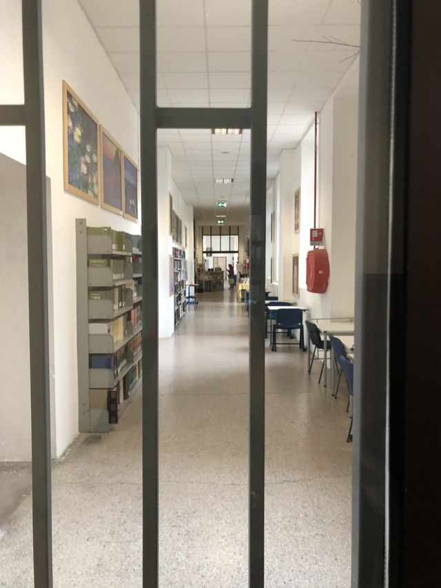 Scuola Elementare Enrico D'Ovidio