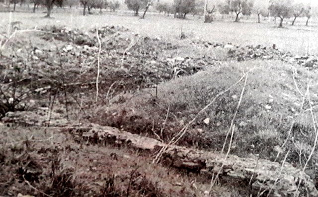 struttura abitativa, villa romana