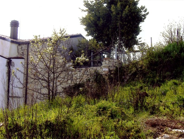 Casa Bernardo