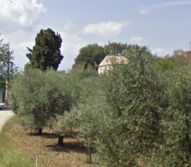 Casale Marra Vanda