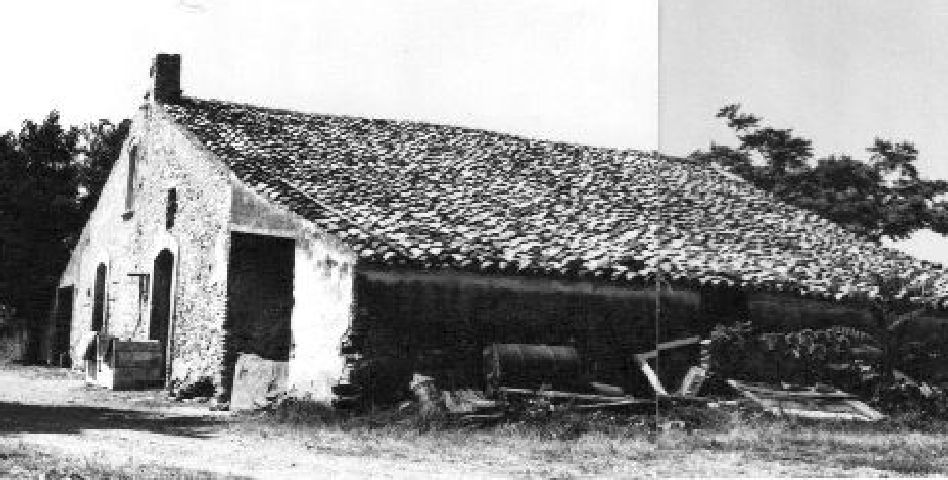 Masseria Varanese