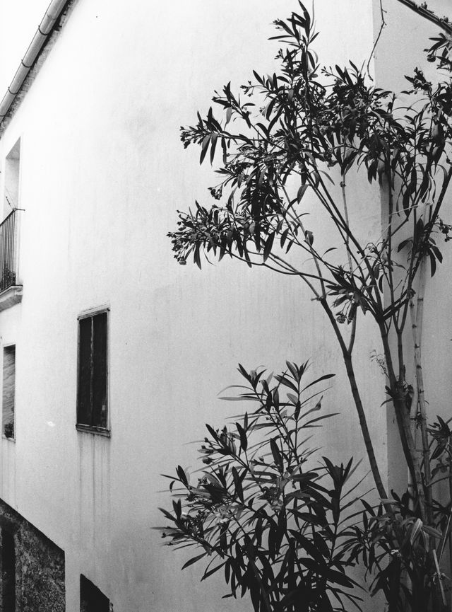 Casa Luciani-Abieri