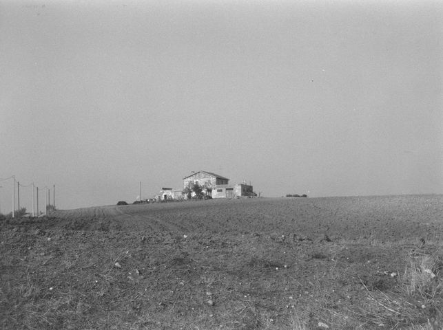 Azienda agricola Di Vaira