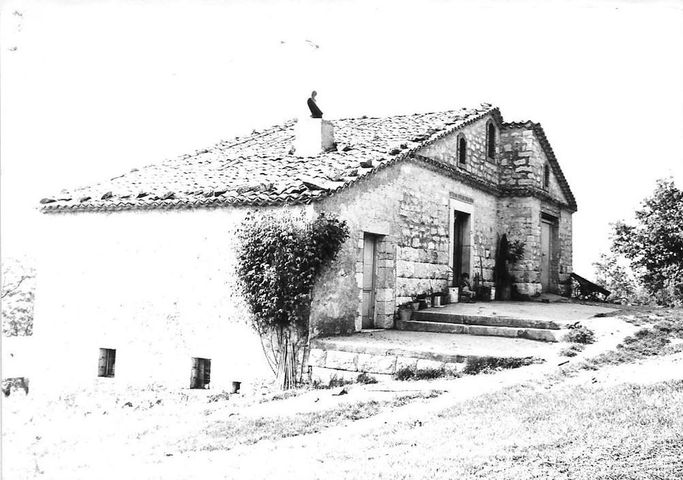 Casale Testa