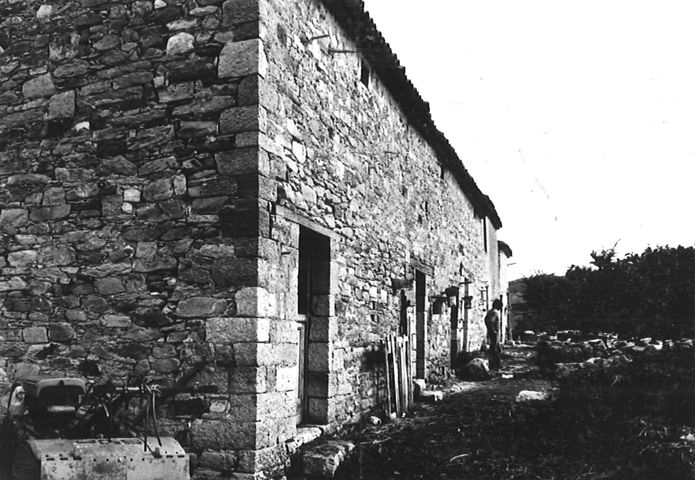 Azienda Agricola Tucci