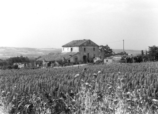 Masseria Spagnoletti