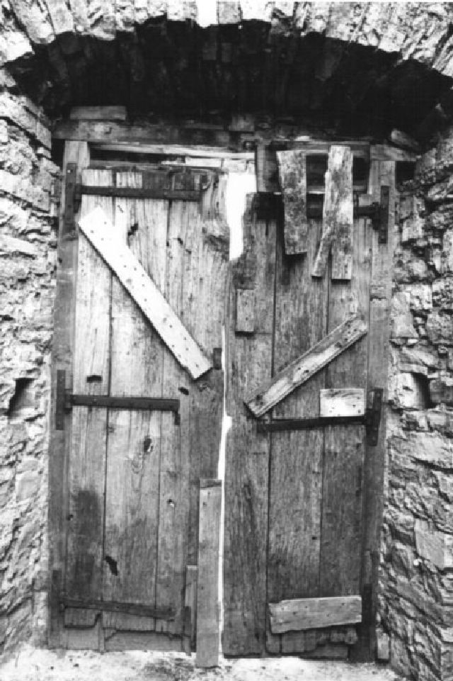 Azienda Agricola Selvaggi