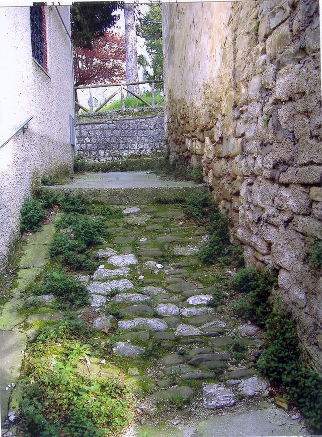 Casa Monaco