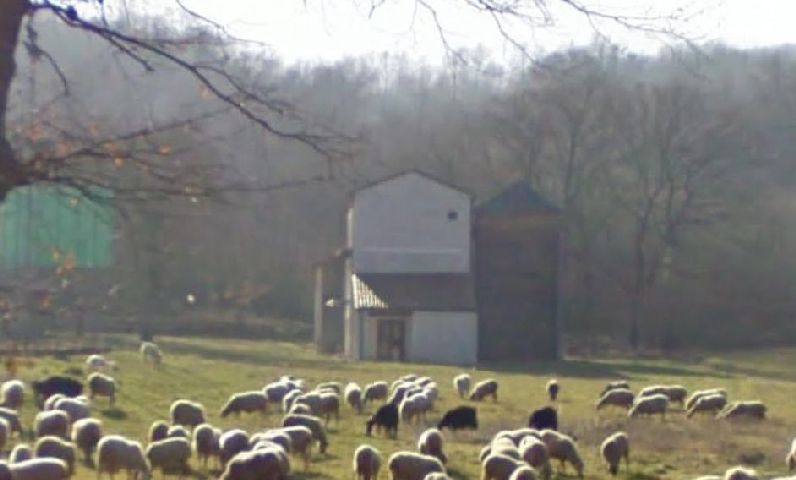 Casa Peluso