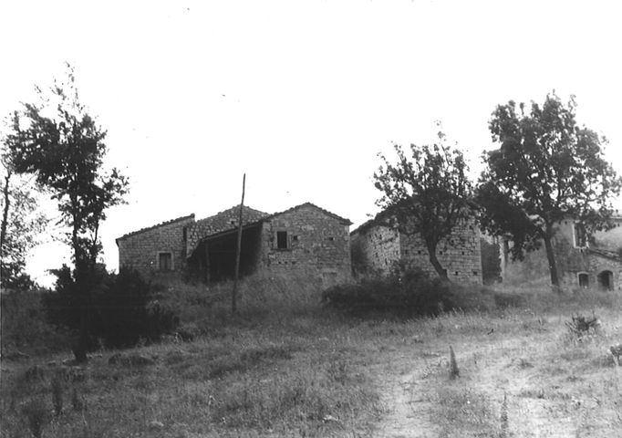 Case Cusanelli