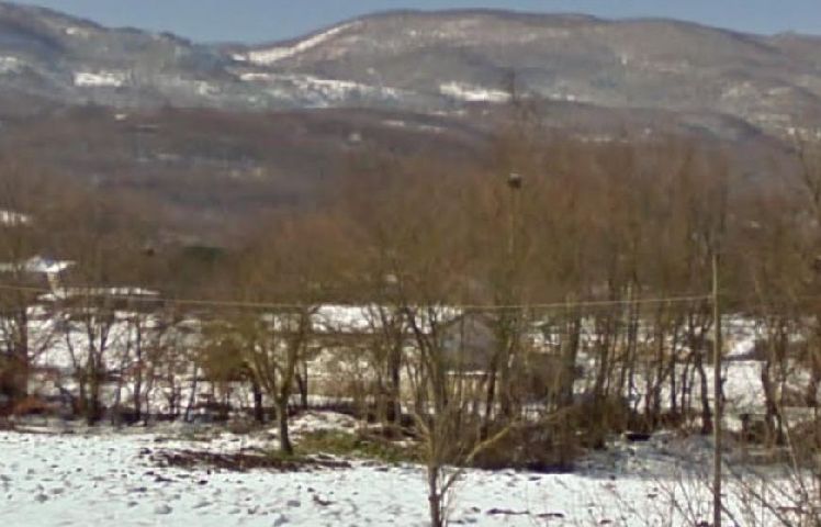 Stalle Maglieri