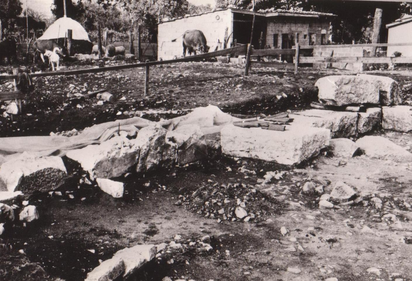 monumento funerario, area ad uso funerario