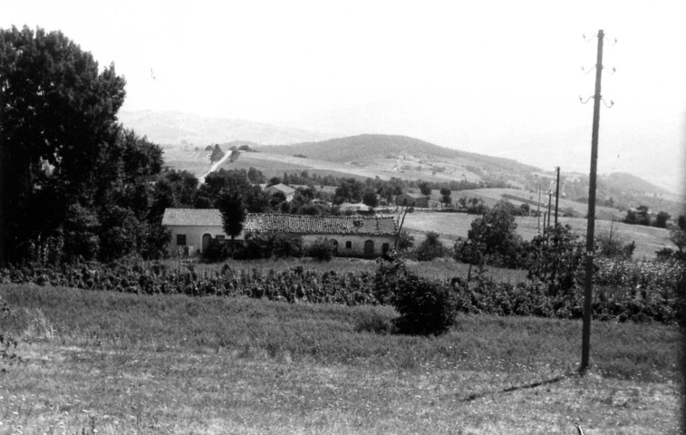 Casale Meffe-D'Alessandro