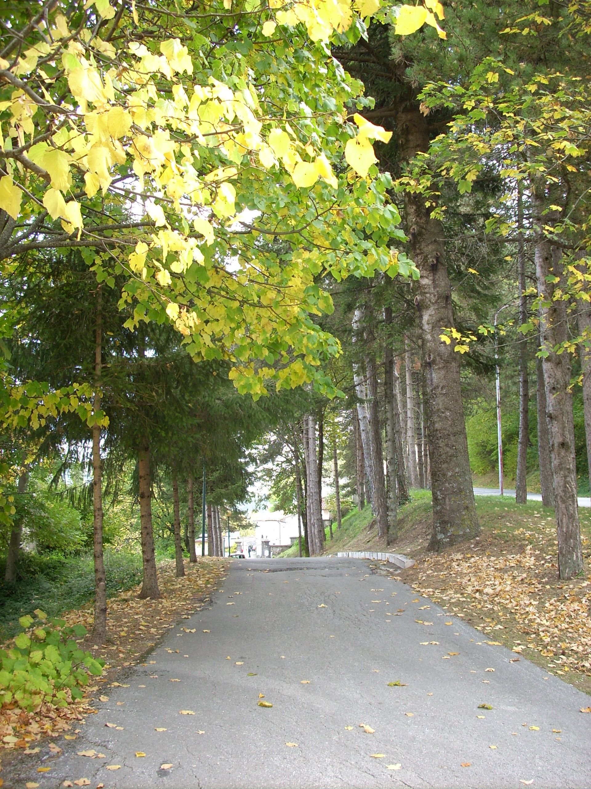 Viale della Rimembranza di Roccamandolfi