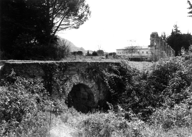 ponte