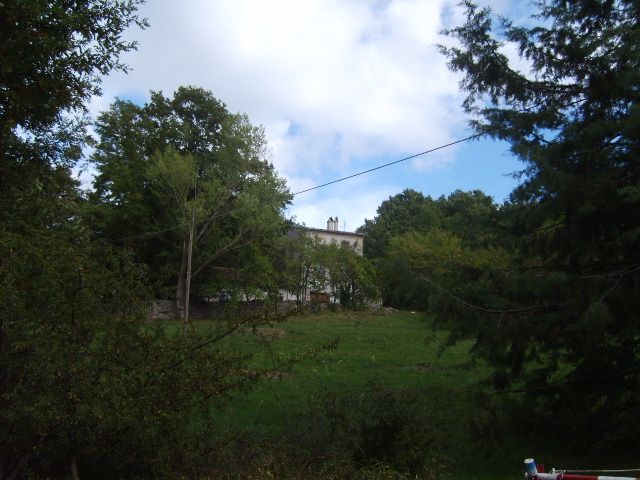 Casale Azalee