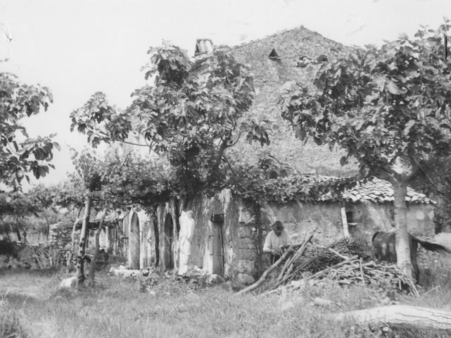 Casale Scarabeo