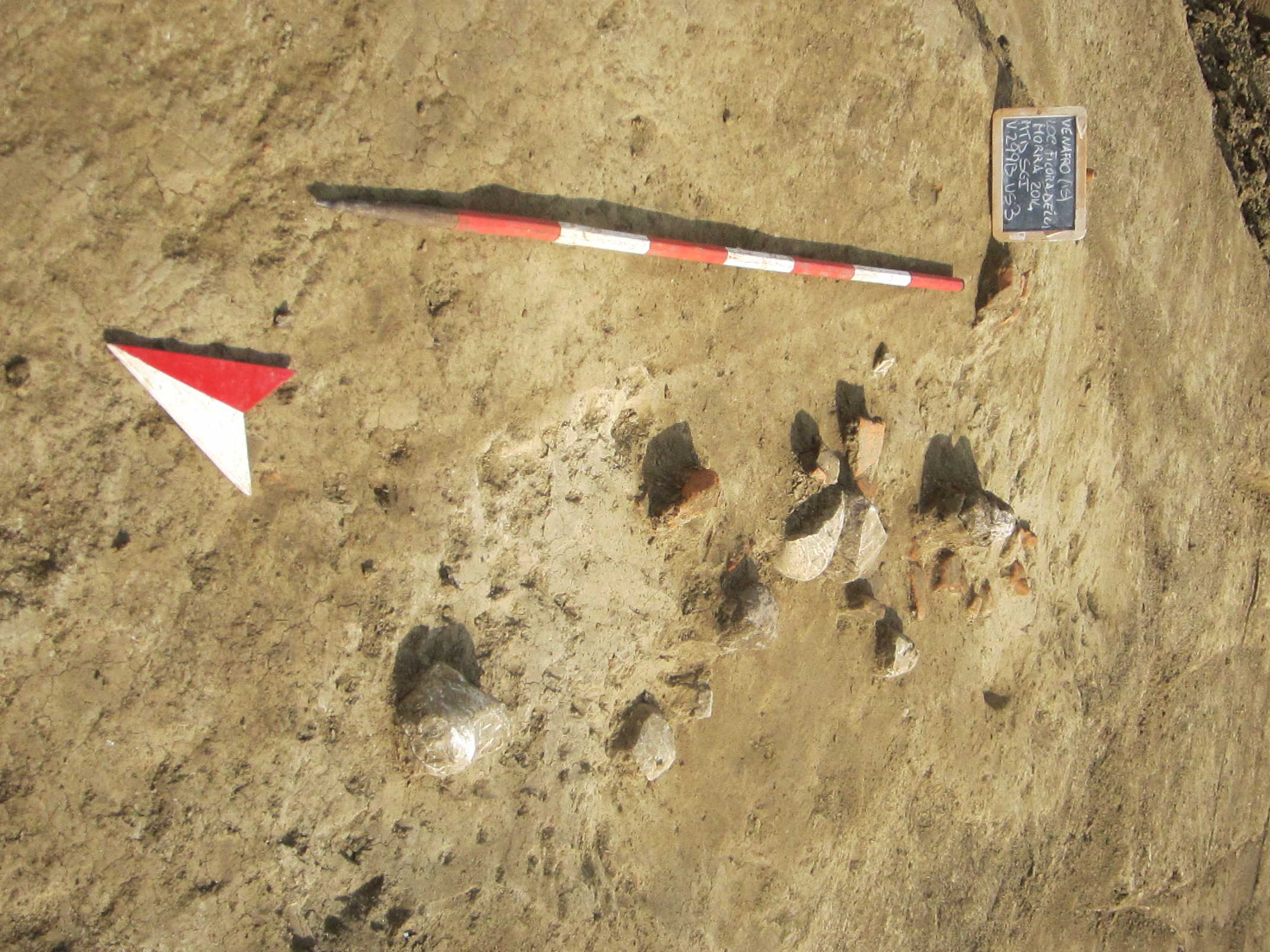 infrastruttura agraria, centuriazione