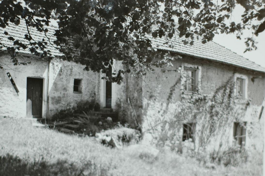 Cerruti