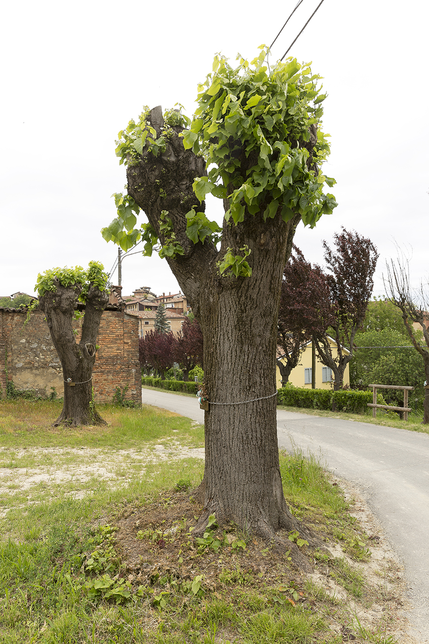 Parco della Rimembranza dei caduti della prima e della seconda guerra mondiale