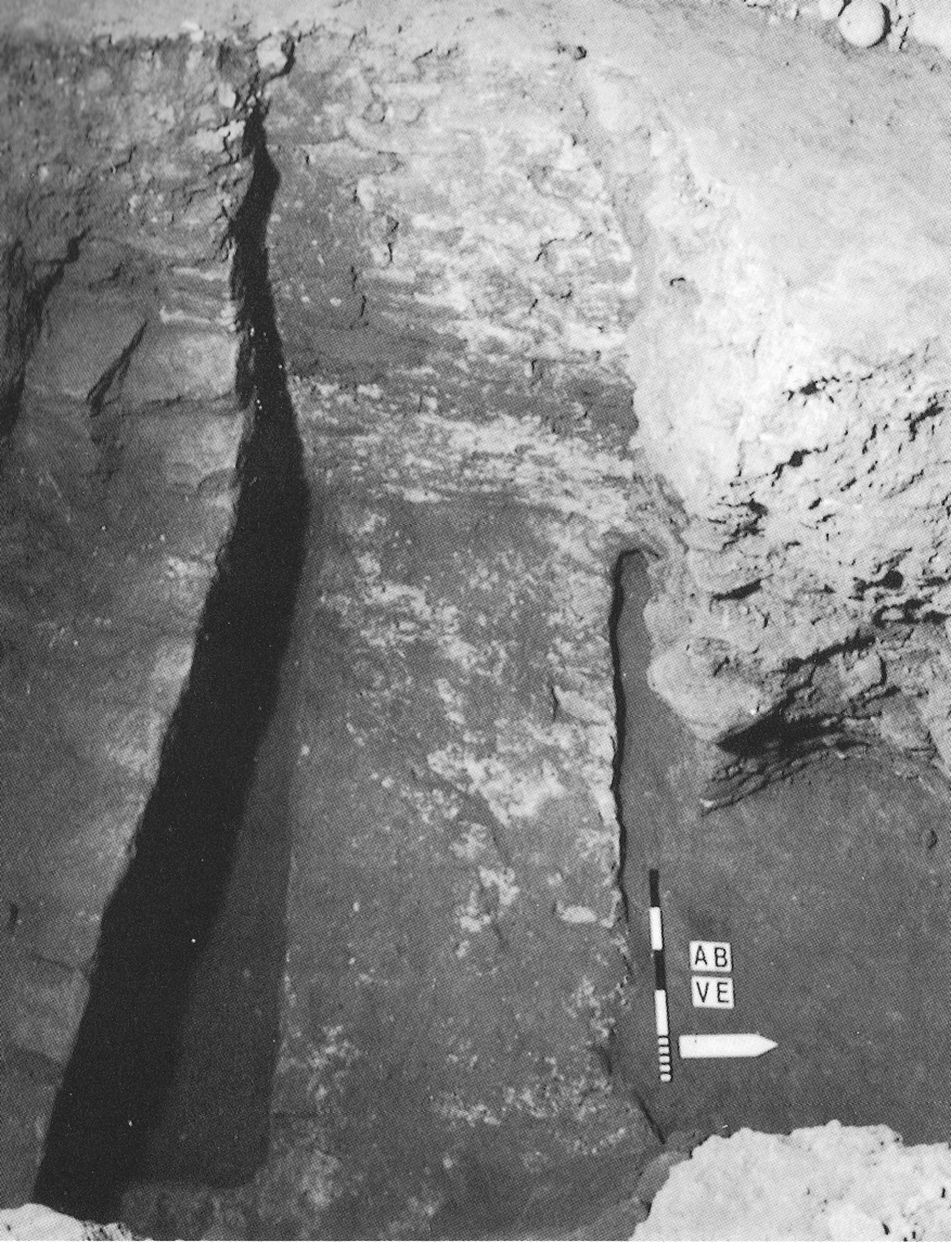 Domus romana con pavimento in tarsie marmoree