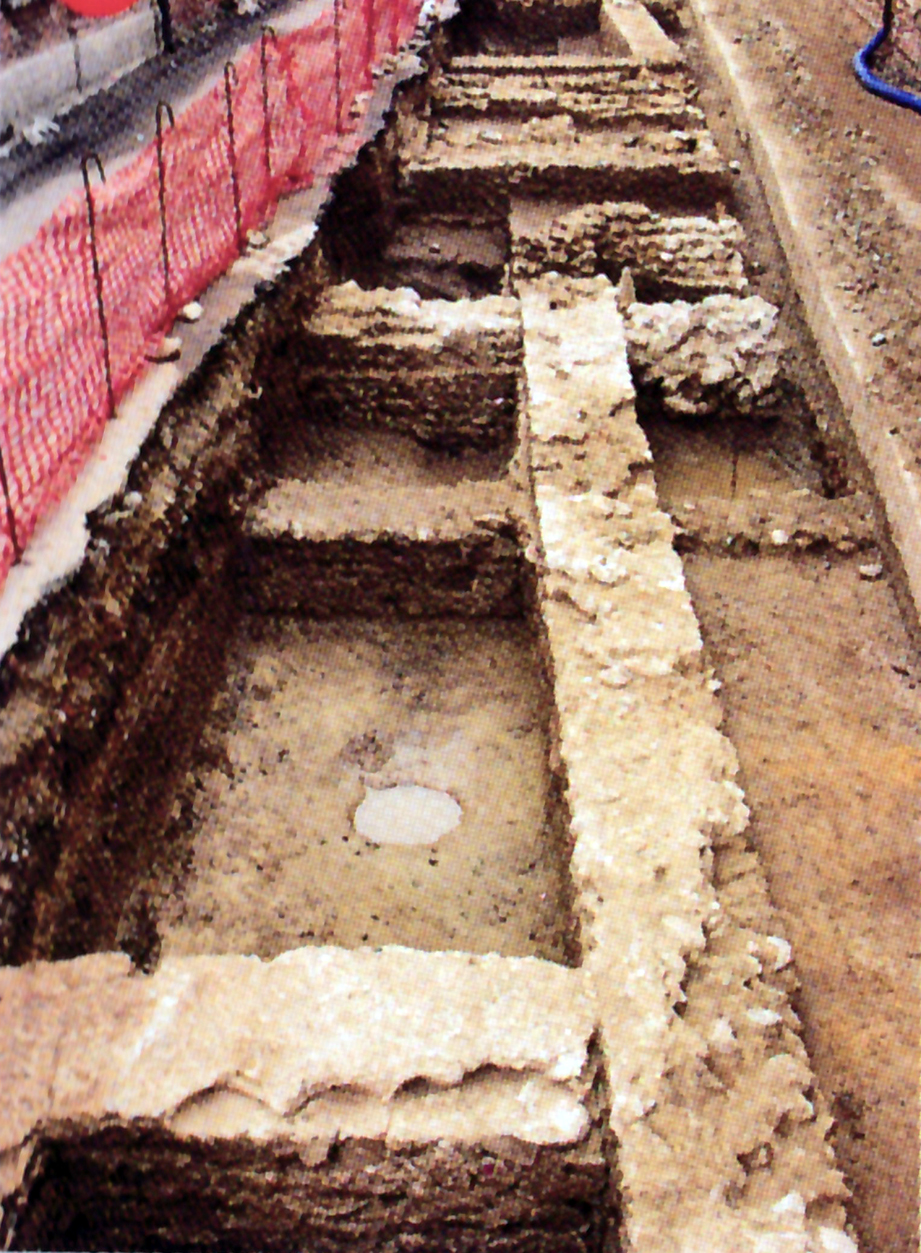 Cascina albertina, resti di domus romana