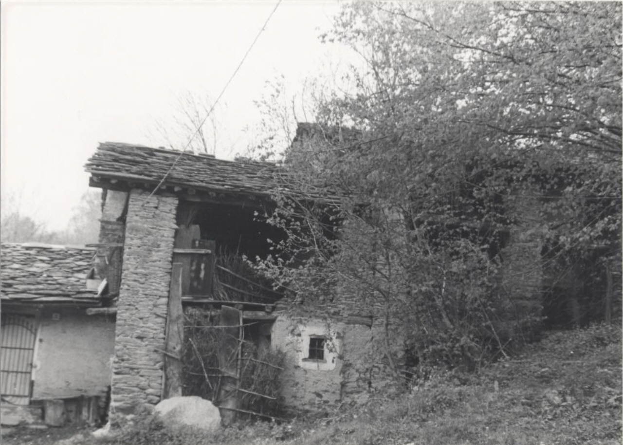 cascinale