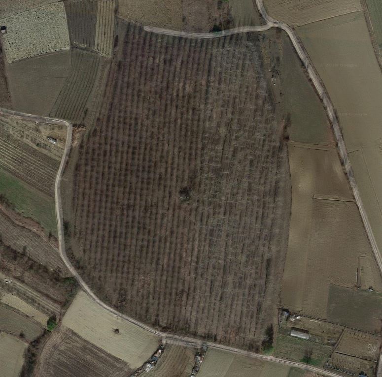 Cappella di S. Maria delle Vigne