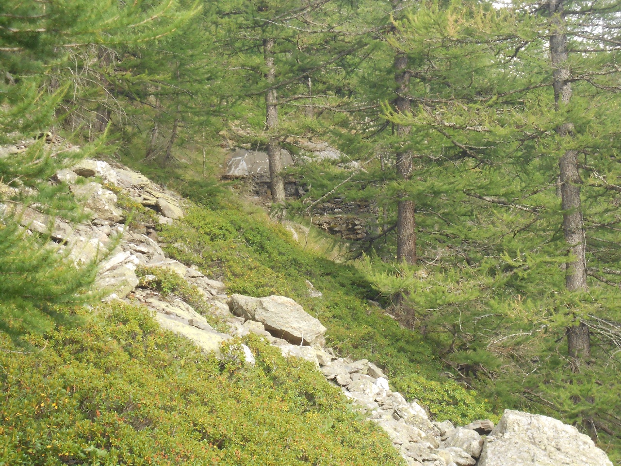 Centro di fuoco in regione La Lamma
