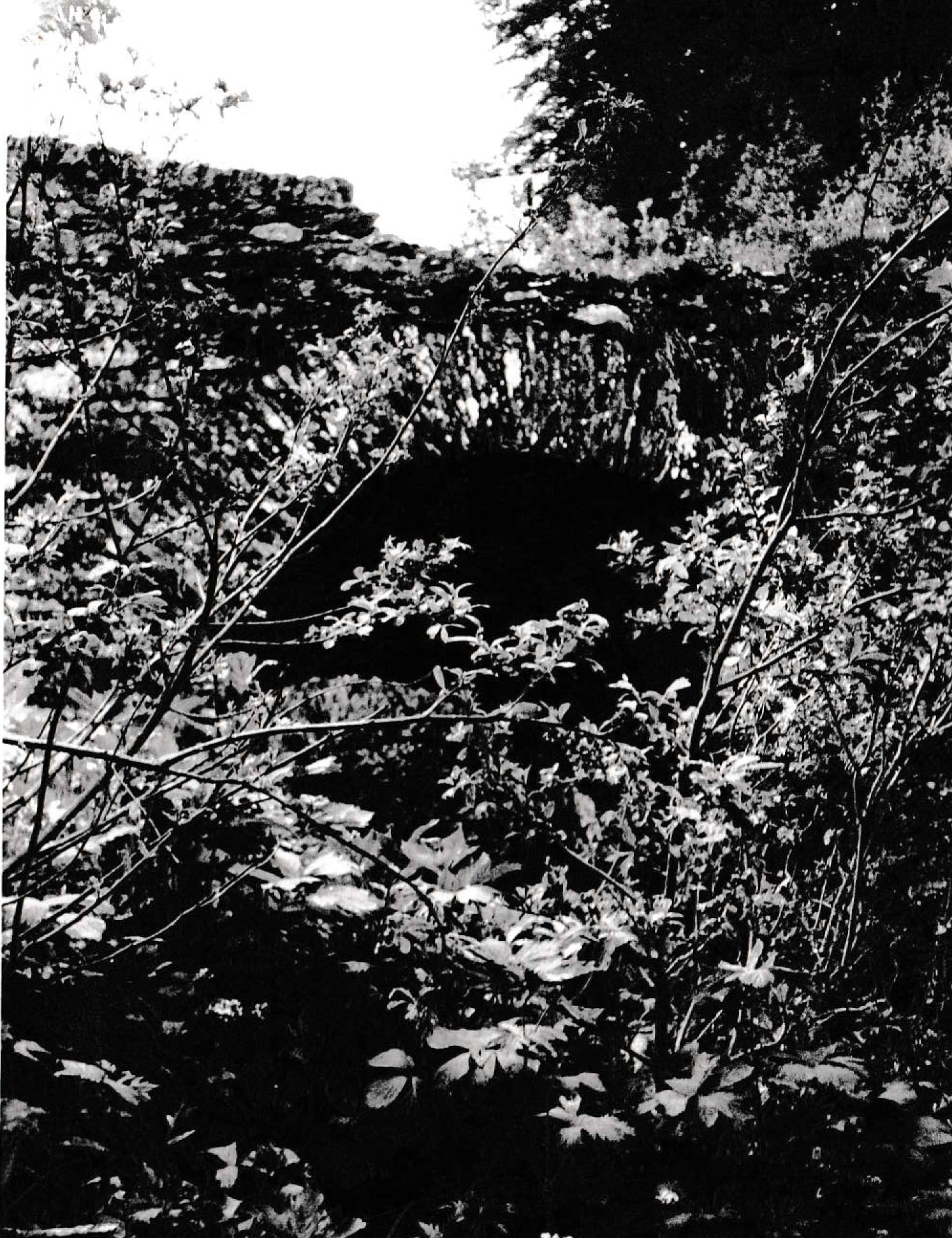 Ponte sul rio Arneirone