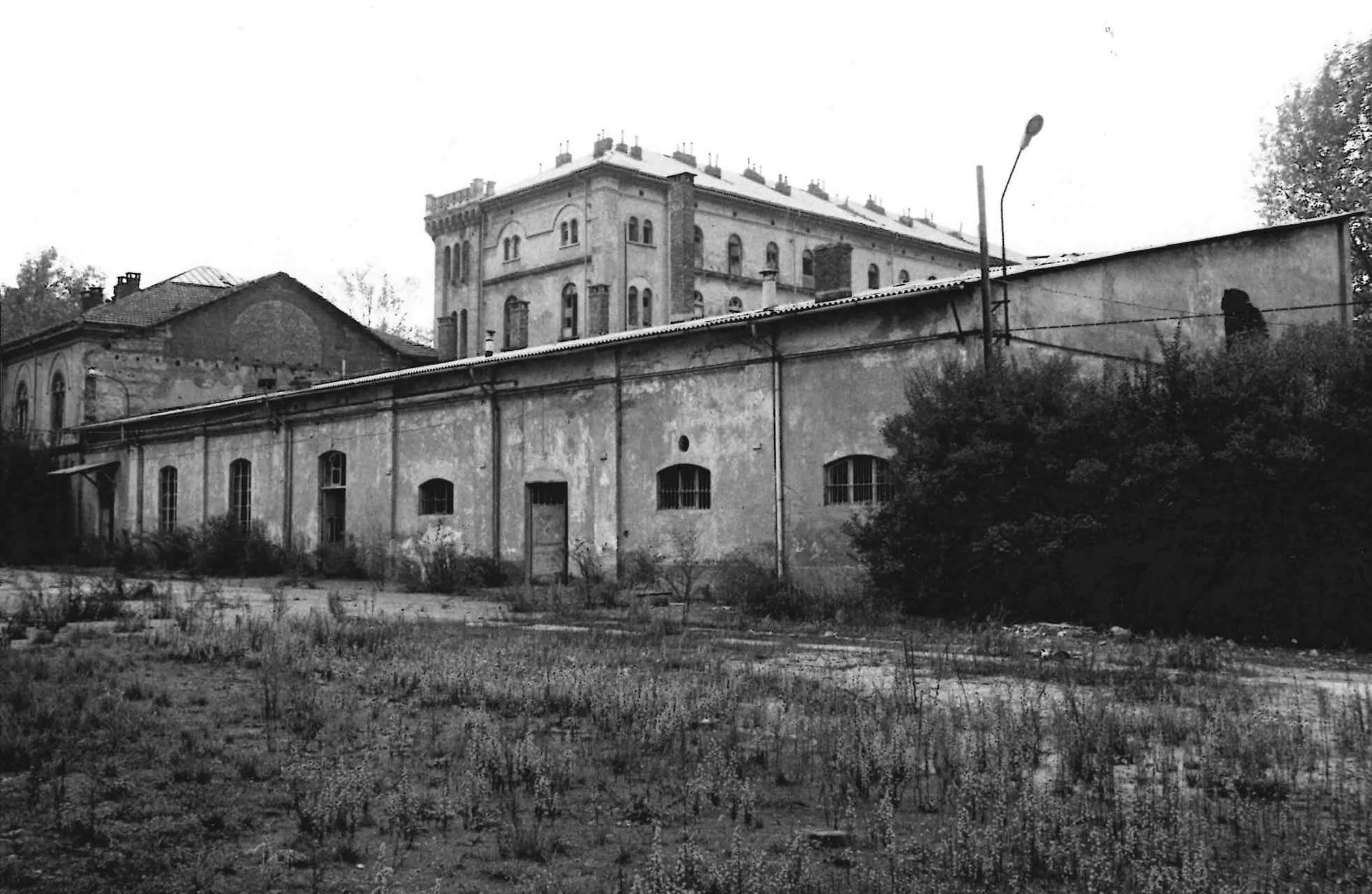 Tobino