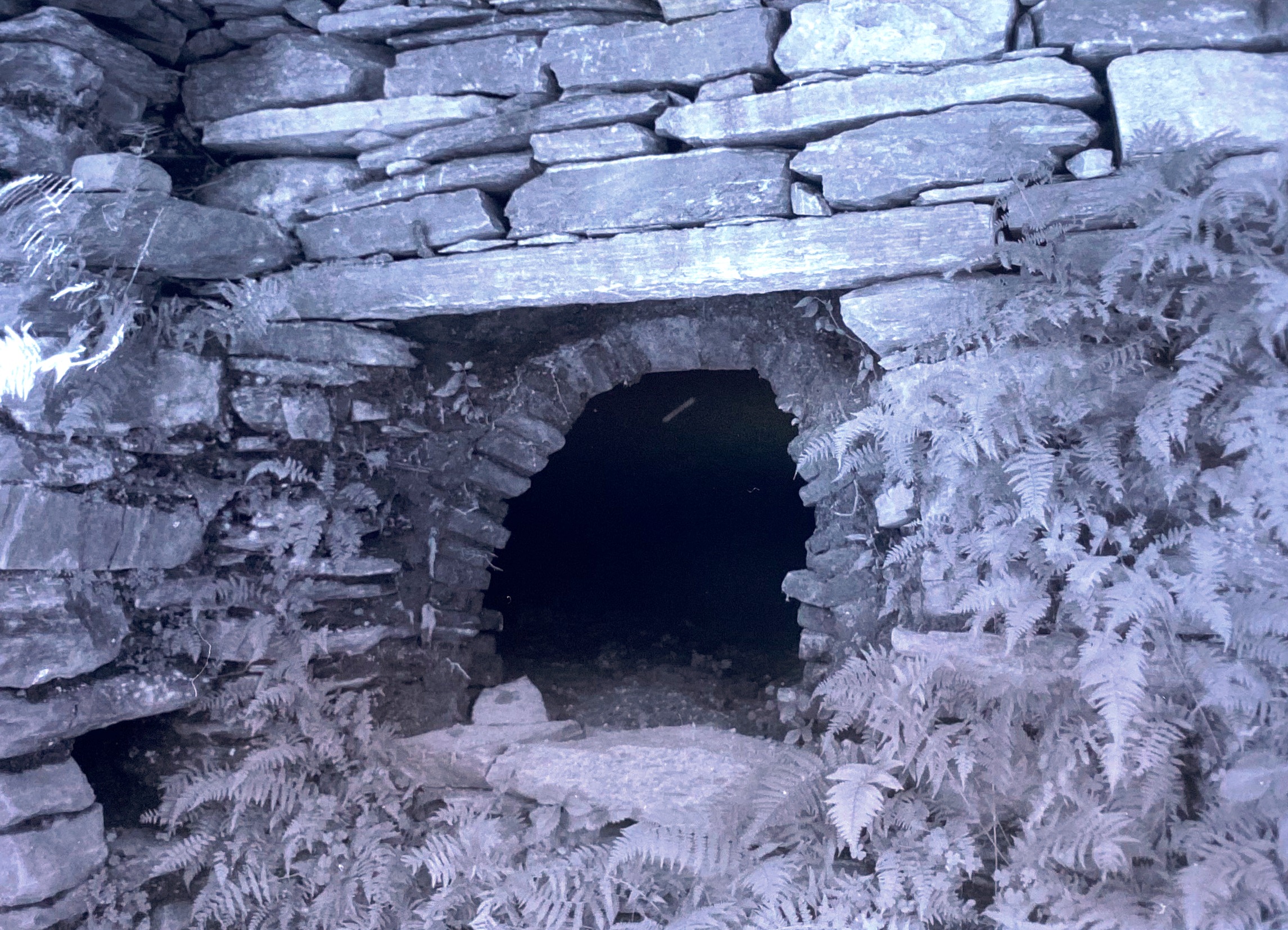 Forno