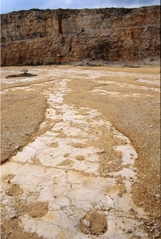 giacimento paleontologico, Impronte di dinosauri