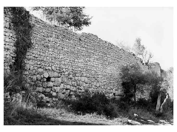 INSEDIAMENTO E MURA DI CASTIGLIONE