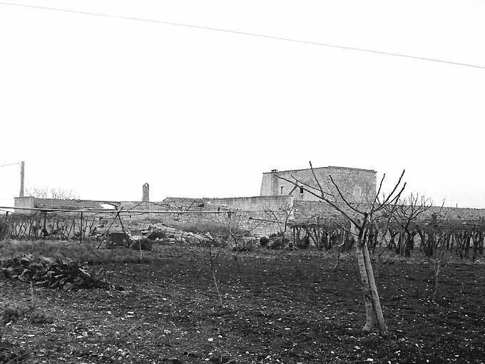 MASSERIA MARTUCCI