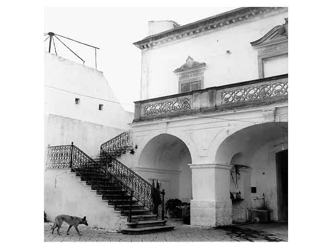 MASSERIA NETTI