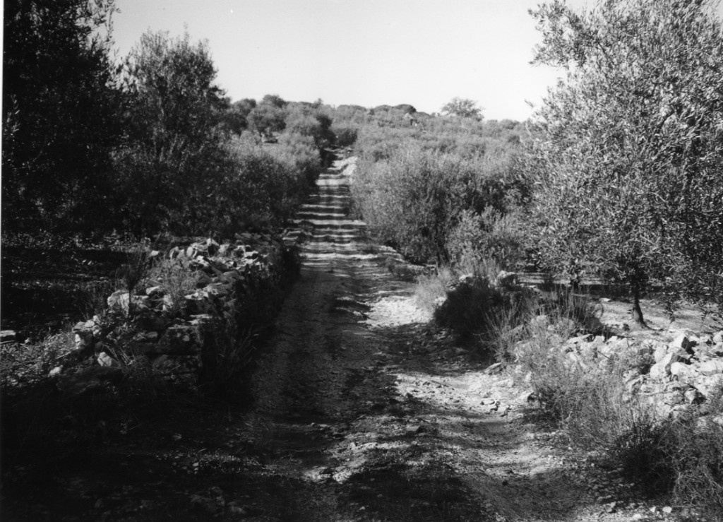 area di materiale mobile, area di frammenti fittili