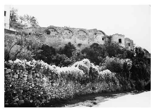 BADIA DI S. VITO VECCHIO