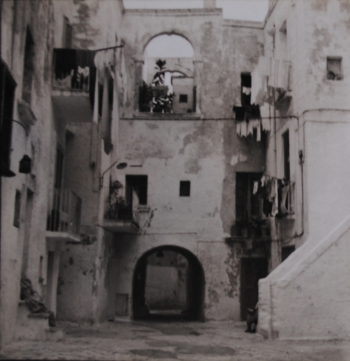 Arco Cacamece