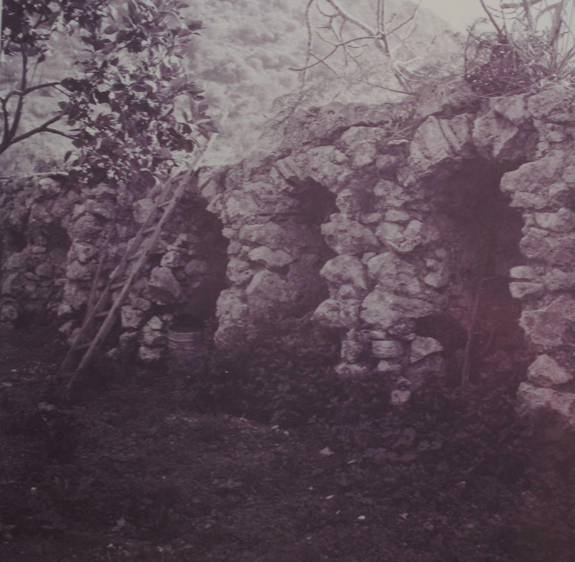 Grotte località Petruso