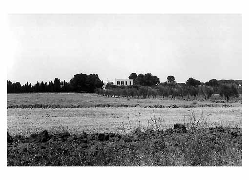 MASSERIA S. DOMENICO