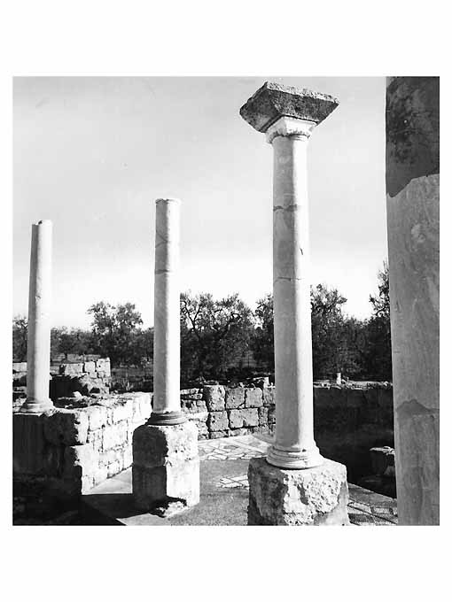 BASILICA DI S. LEUCIO