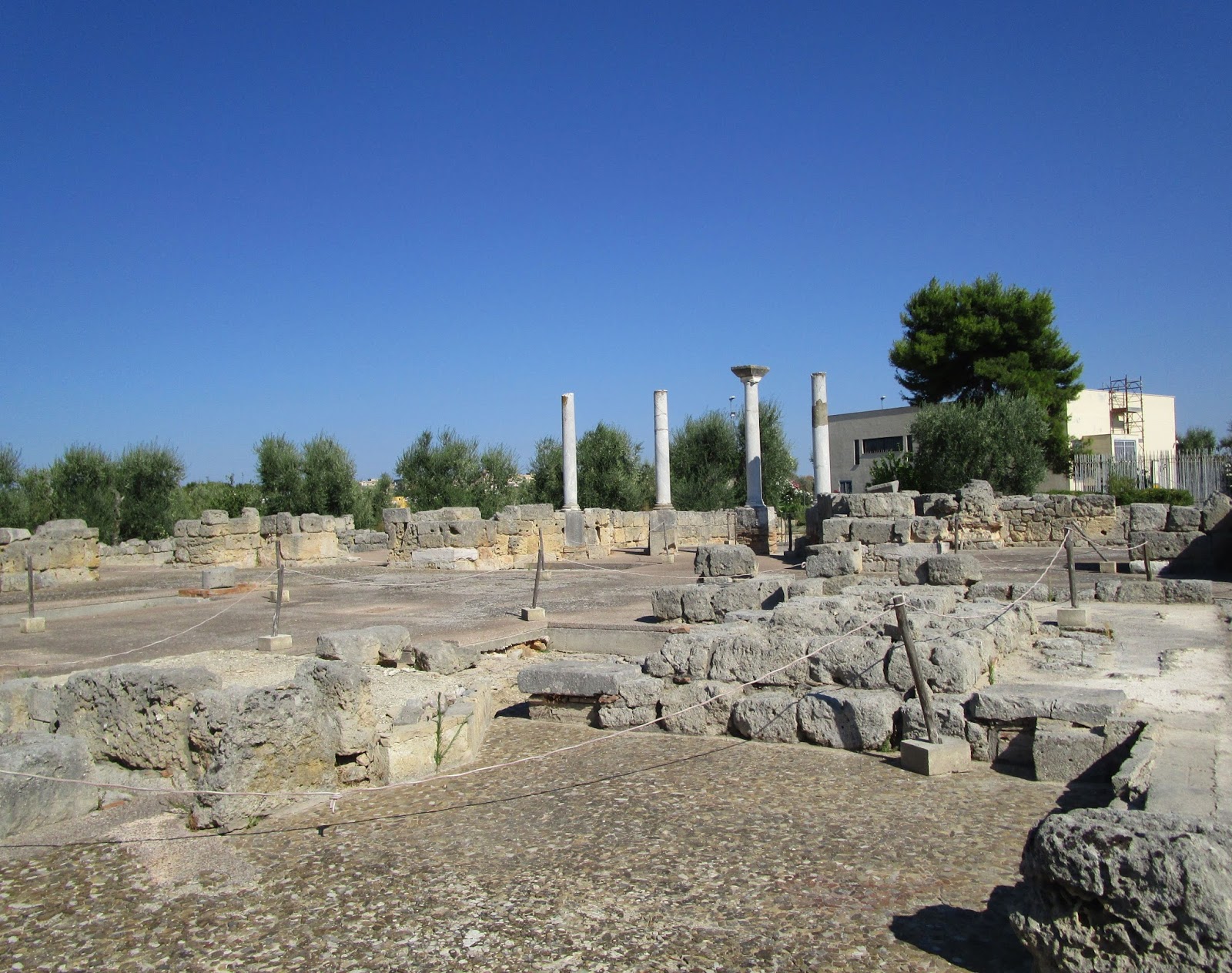 complesso episcopale, Basilica di San Leucio