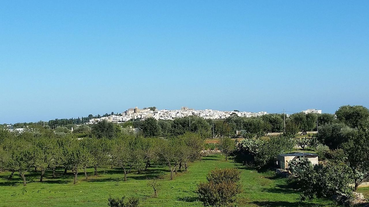 centro storico, collinare, difensivo, agricolo, Carovigno