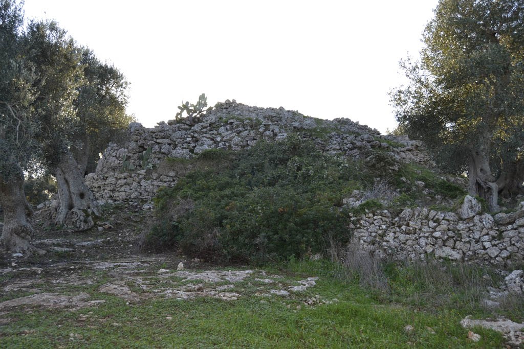 Specchia Castelluzzo o Miano
