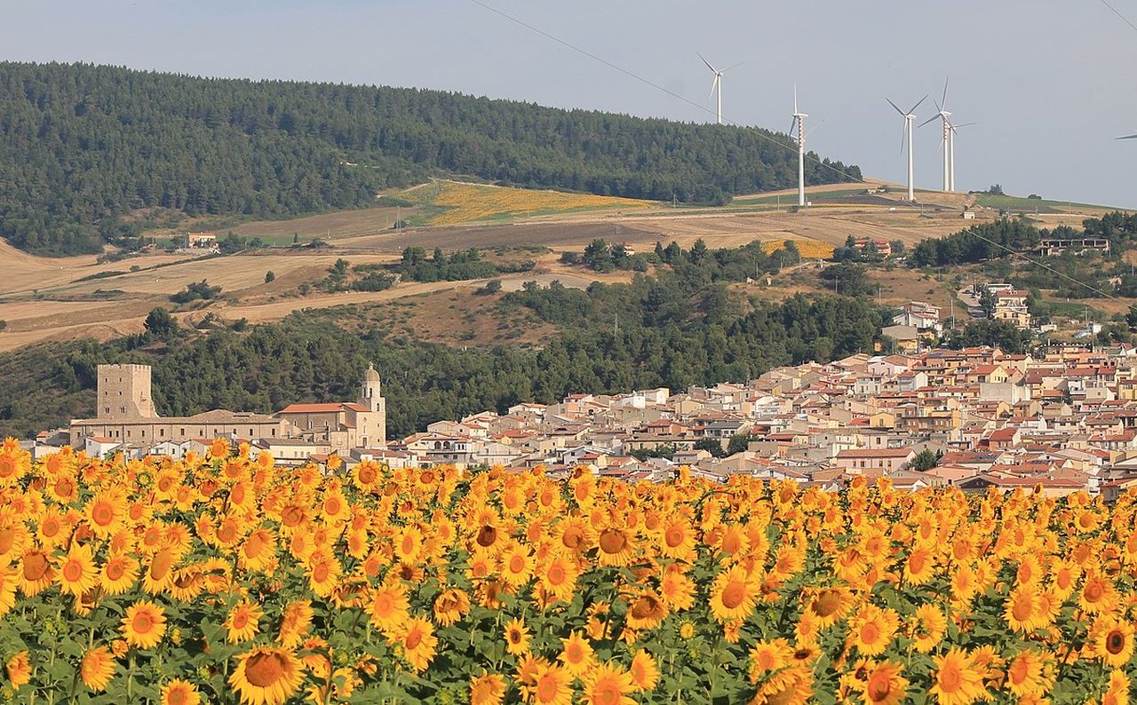 centro storico, agricolo, difensivo, Pietramontecorvino, Pietra , Castel di Pietra
