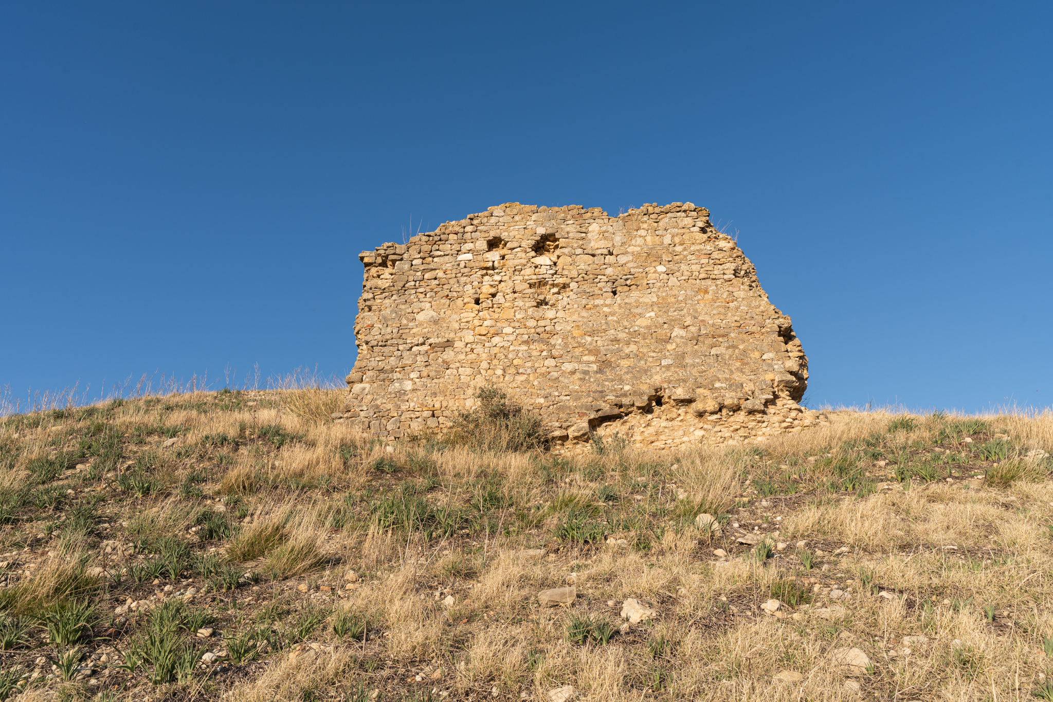 struttura di fortificazione, cinta fortificata, Cinta muraria di Castel Fiorentino